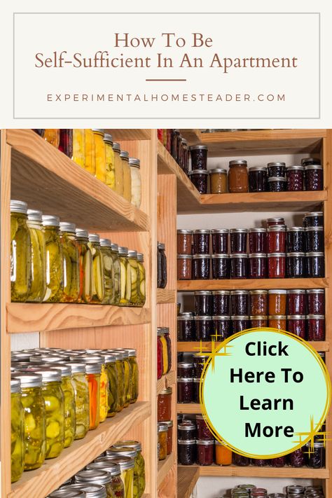 Homesteading In An Apartment, How To Be Self Sufficient, Apartment Homestead, Apartment Homesteading, Self Sufficient Homestead, Self Sufficiency, Los Angeles Apartments, Learn Skills, Preserving Herbs