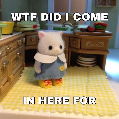 Bunny Calico Critter, Calico Critters Funny, Clown Car, Calico Critters Families, Calico Critter, April Fool, Calico Critters, Little Critter, Cute Memes