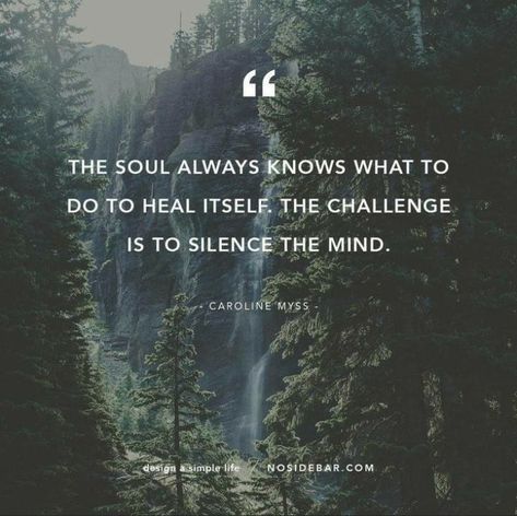 Find your quiet place. Quotes Adventure Life, Inspirational Nature Quotes, Woods Ideas, Quotes Peace, Nature Quotes Adventure, Quotes Adventure, Adventure Life, Rumi Quotes, Adventure Quotes