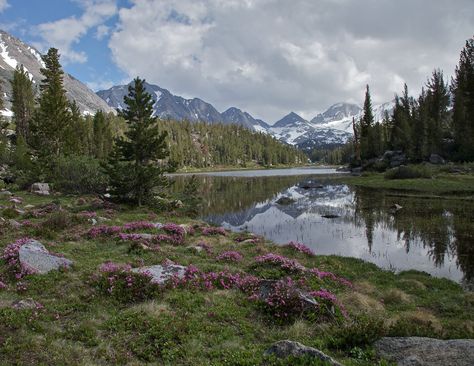 Rock Creek, Eastern Sierra Eastern Sierras, Oregon Photography, Rock Creek, Pretty Landscapes, Nature Aesthetic, Pretty Places, Mother Earth, Beautiful World, Pretty Pictures