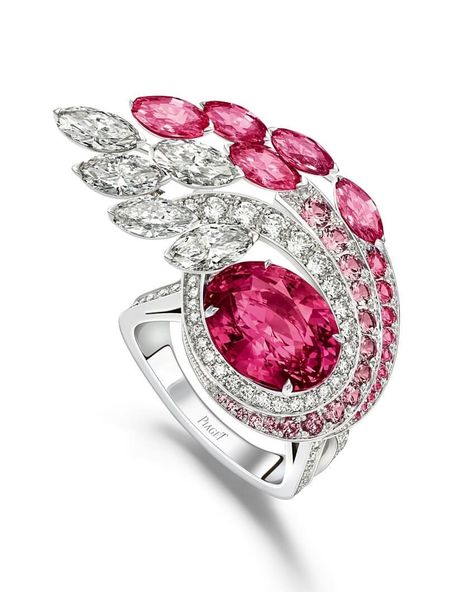 Piaget. Sunlight Escape high jewellery collection. "Dazzling Glow" white gold ring, featuring a 5.58cts Madagascar pink sapphire surrounded by pink sapphires and white diamonds. #piaget #sunlightescape #pinksapphire #sapphire White Diamond Jewelry, High Jewellery, Jewels Rings, Pink Jewelry, Ruby Jewelry, Rare Gemstones, Original Jewelry, Pink Gemstones, Fabulous Jewelry