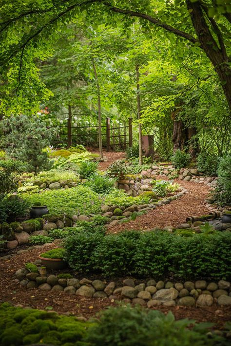 Winding Garden Pathways, Forest Landscaping, Gard Modern, Woods Garden, Wisconsin Garden, Wonder Forest, Shady Garden, Funny Vine, Country Gardens