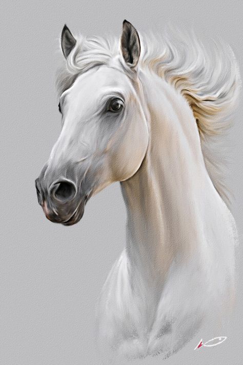 Horse Art Drawing, Regnul Animal, Painted Horses, Horse Artwork, Horse Diy, Majestic Horse, Horse Pattern, Horse Drawing, Horse Drawings