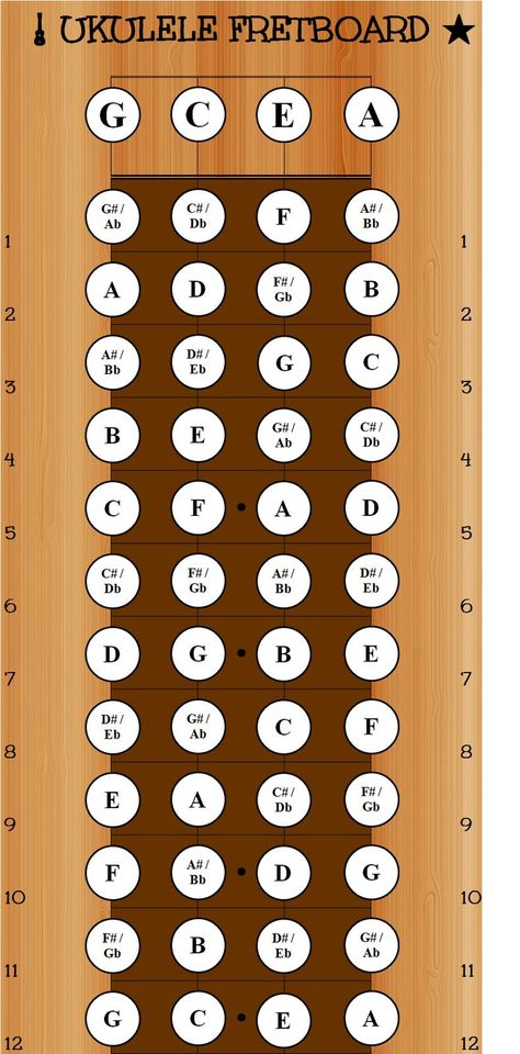 do you know the notes on the fret board? Learning Ukulele, Ukulele Chords Chart, Cool Ukulele, Ukulele Chords Songs, Uke Songs, Ukulele Tutorial, Ukulele Music, Ukulele Lesson, Ukulele Tabs