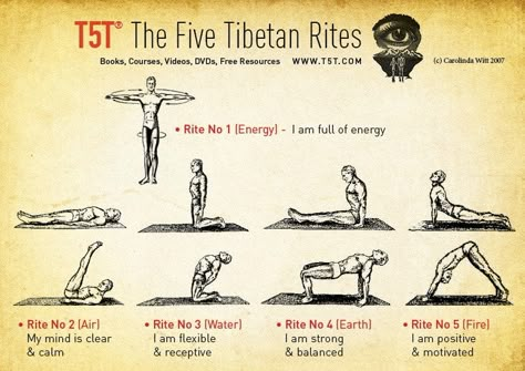 5 Tibetan Rites, Five Tibetan Rites, Tibetan Rites, Hata Yoga, Yoga Inspo, Yoga Philosophy, Yoga Sequence, Iyengar Yoga, Fountain Of Youth