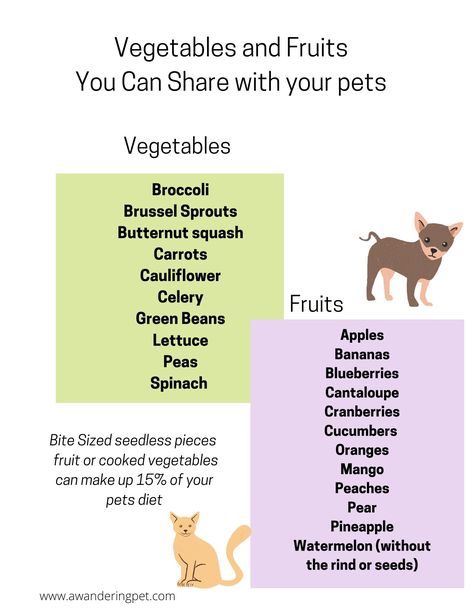 Vegetables For Cats, Extra Vitamins, Broccoli And Brussel Sprouts, Pet Recipes, Cucumber Bites, Pet Advice, Fruit Vegetables, Animal Nutrition, Cat Recipes