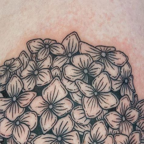 Lines by Lau on Instagram: "Hydrangeas for Renata!" American Traditional Hydrangea Tattoo, Hydrangea Tattoo, Hydrangeas Art, Traditional Tattoo Flowers, Tattoo Flowers, February 8, Neo Traditional, American Traditional, Flower Tattoos