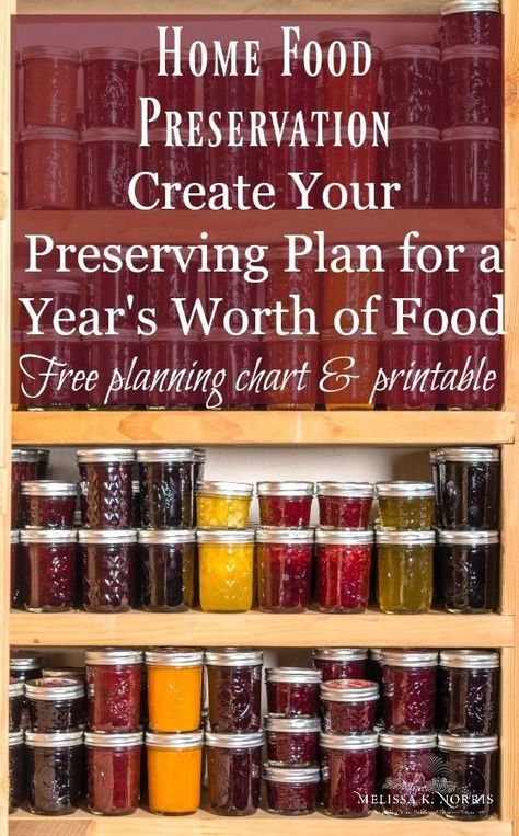 How to preserve a year's worth of food with this free planing chart & printable #homesteading #canning #Masonjars #self-sufficiency #foodpreservation Homestead Food, Canning Food Preservation, Canned Food Storage, Water Bath Canning, Home Canning, Pressure Canning, Meals In A Jar, Food Preservation, Food Supply