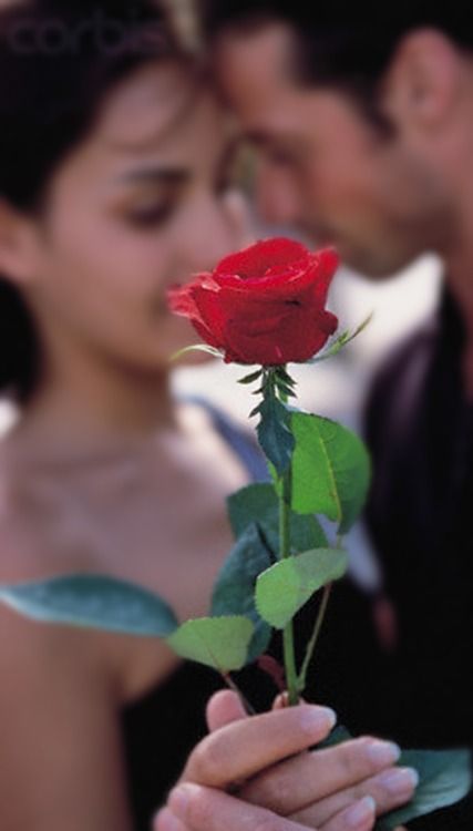 ԑ̮̑♥ܓŘƹ∂ ŘᎧ§ƹ ŘᎧ๓คภςƹ ԑ̮̑♥ܓ What A Girl Wants, Valentine Photo, Rose Rouge, Love Is, Love Rose, Paros, Couples In Love, Romantic Love, Love Couple