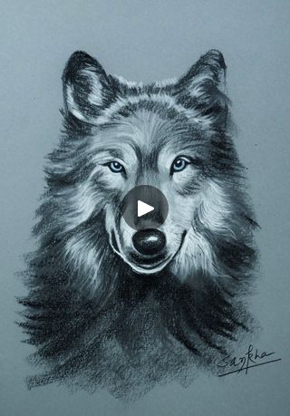 Draw A Wolf, Wolf Drawing, A Wolf, Wolf Art, Artist Drawing, Sketch Painting, Drawing Sketch, Pencil Art, Painting Art