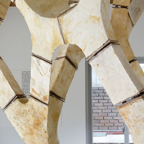 Engineers Dirk Hebel and Philippe Block use fungi to build self-supporting structures Wood Joinery Detail, Mushroom Mycelium, Nakagin Capsule Tower, Construction Unit, Unconventional Materials, Eco Buildings, Cladding Materials, Joinery Details, Digital Fabrication