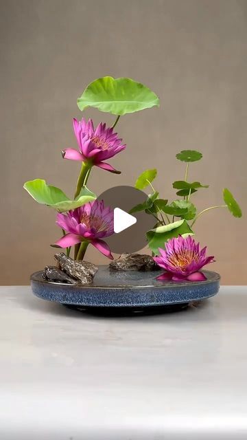 Point of Life on Instagram: "lotus  Flower arrangement  demonstration  This video is shared for learning purposes and not for commercial use  Original from: Douyin wy13812731213  Plants used for display in the video are all cultivated and comply with local laws.  If you enjoy flower arrangements, please use legally permitted plants.  To avoid biological invasion, Please do not discard or plant exotic plants in the wild. Protecting wildlife is everyone‘s responsibility.  Thank you.  #interiordesign #decor #design #home #interior #decoration #homedesign #interiors #homesweethome #furniture #architecture #art #style #interiorstyling #inspiration #interiordecor #homestyle #luxury #love #handmade #instagood #livingroom #arquitetura #interiordesigner #instadecor #homedecoration #interiores #deco Luxury Flower Arrangement, Lotus Plant, Luxury Flowers, Lush Greenery, Exotic Plants, Lily Flower, Water Lilies, Special Moments, Flower Arrangement