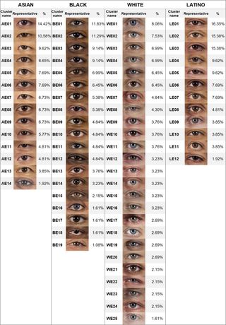 Eye shape by race/ethnicity Eye Shape Chart, Different Types Of Eyes, Forensic Anthropology, Shape Chart, Magnesium Benefits, Human Eyes, Glow Face, Human Body Parts, Eye Base