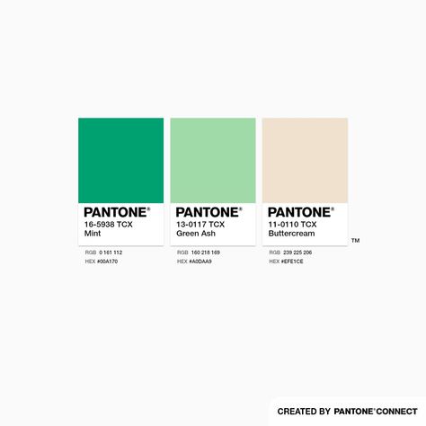 Mint, Green Ash & Buttercream Mint Green Palette, Mint Green Fashion, 21 Bday, Mint Logo, Green Branding, Pantone Palette, Ss 2024, Bakery Branding, Green Ash