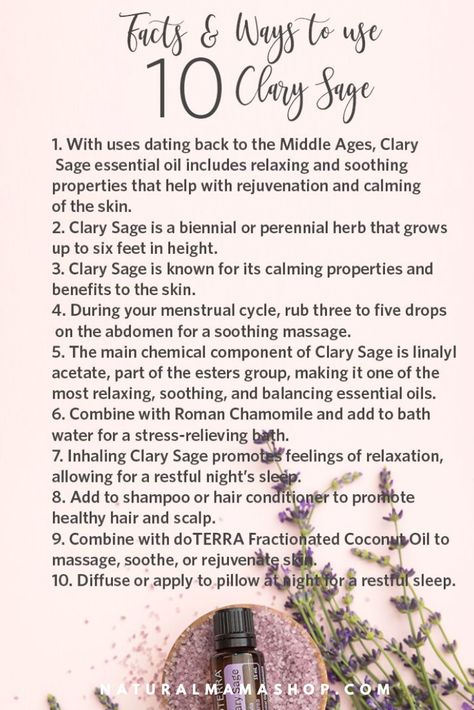 10 ways to use clary sage  Naturalmamashop.com Sage Properties, Clary Sage Uses, Sage Benefits, Magickal Herbs, Clary Sage Oil, Clary Sage Essential Oil, Mama Natural, Sage Essential Oil, Green Tips