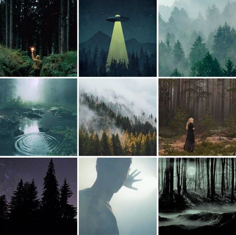 Frozen Pines Lord Huron, Strange Trails Aesthetic, Lord Huron Tattoo, Lord Huron Strange Trails, Lord Huron Aesthetic, Strange Trails, Wedding Stars, Ghost Books, Lord Huron