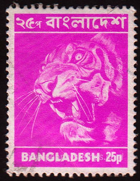 Bangladesh SG#27 Used - 1973 25p. - Tigers - bidStart (item 5614977 in Stamps, Asia, Bangladesh) Coins Collection, Panthera Tigris, Art Buddha, Horror Artwork, Old Stamps, Buddha Statues, Postcard Art, South East Asia, Bengal Tiger