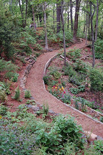 Path On Hill, Running Path Landscape, How To Make Trails In The Woods, Backyard Forest Landscape, Woodland Landscaping Ideas, Whimsical Pathway, Woodland Paths, Wooded Backyard Landscape, Path In The Woods