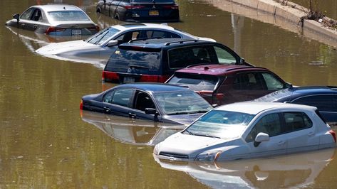 Is the city partly to blame for flood damage? City Council seeks answers Flood Cleanup and Restoration Chicago, Oak Park, River Forest, Forest Park, Elmwood Park, Brookfield https://www.thecleanupguys.com/flood-cleanup #floodcleanupandrestoration #Chicago #OakPark #RiverForest Flooded City, River Forest, Flood Damage, Extreme Weather Events, California History, Weather News, National Weather Service, Land Use, Forest Park