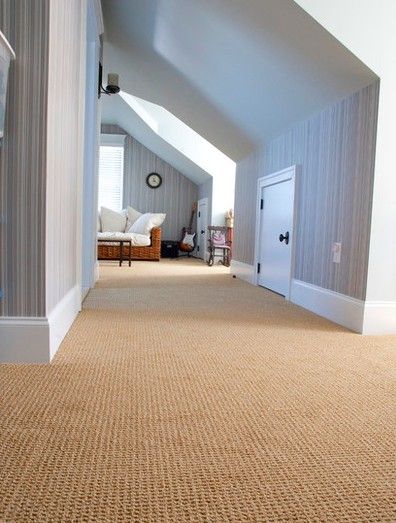 Best Carpet For Basement, Gray Bedroom Walls, Basement Carpet, Hotel Carpet, Bedroom Blue, Diy Carpet Cleaner, Carpet Trends, Buying Carpet, Cheap Carpet Runners