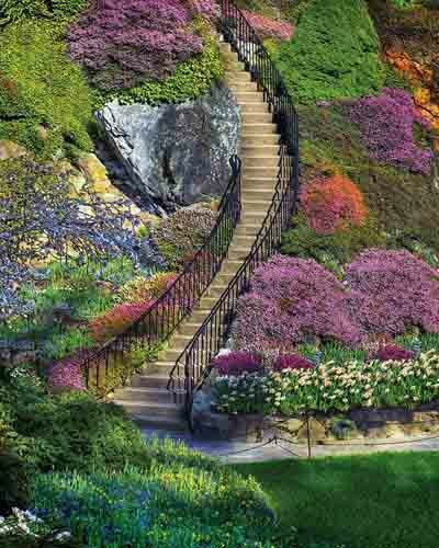 When teenagers Austin Jones, Chase Braedon, and Luna Dark were ordina… #random # Random # amreading # books # wattpad Butchart Gardens, Garden Stairs, Casas Coloniales, Garden Route, 500 Piece Jigsaw Puzzles, Road Trip Usa, Dream Garden, Decoration Design, Garden Bridge