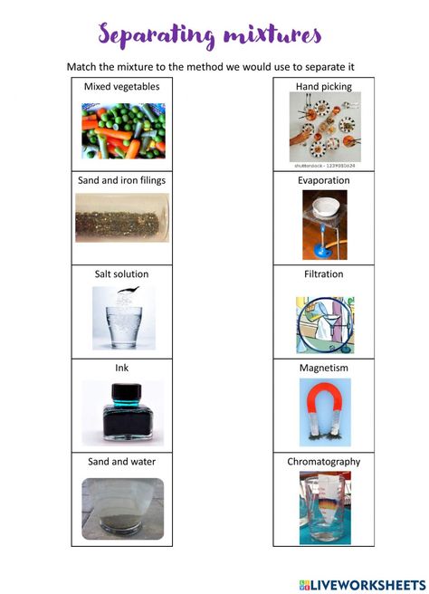 Separation Of Mixtures, Types Of Mixtures, Separating Mixtures, Solutions And Mixtures, 2nd Grade Crafts, Heterogeneous Mixture, Compounds And Mixtures, Science Printables, Spelling Worksheets