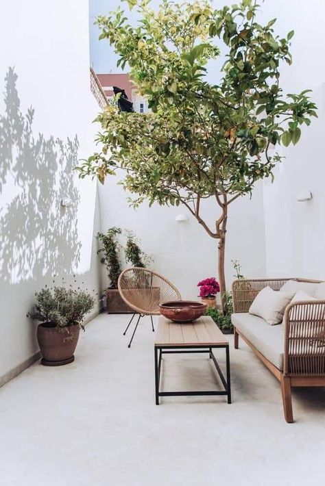 Balcony Inspiration, Narrow Garden, Deco Champetre, Small Patio Garden, Nordic Furniture, Garden Inspo, Courtyard Design, Patio Interior, Space Ideas