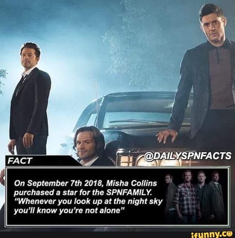 Supernatural Facts, Supernatural Crossover, Supernatural Star, Supernatural Quotes, Supernatural Destiel, Supernatural Memes, Supernatural Funny, Supernatural Cast, Free Will