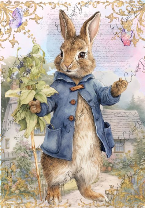 Peter rabbit costume