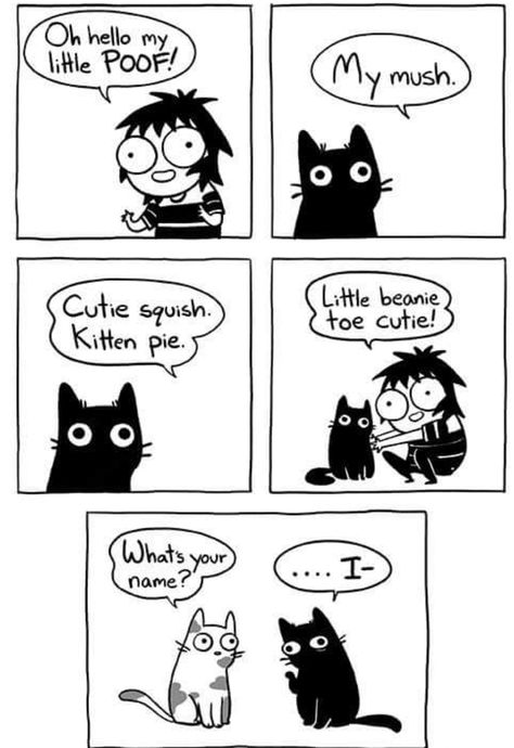 Cats and their names Sarah Anderson Comics, Sarah's Scribbles, Sarah Andersen, Sarah Anderson, Girls Problems, Cat Comics, Online Comics, Reference Poses, Slipknot