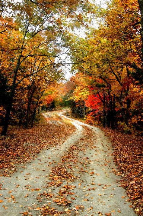 Fall Foilage, Long And Winding Road, Magical Landscape, Small Town Life, Autumn Park, Fallen Leaves, Winding Road, Autumn Scenery, Dirt Road