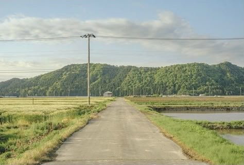 Japan Film Photography, Japan Countryside, 숲 사진, Japanese Countryside, Fotografi Vintage, Scenery Photography, Aesthetic Japan, Japan Aesthetic, Back Ground