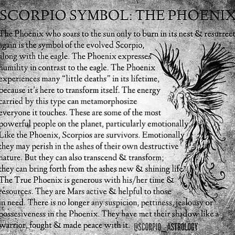 Dawn Meaning, Phoenix Tattoo Ideas, Spiritual Animals, Rising Phoenix Tattoo, Symbols Of Strength Tattoos, Scorpio Symbol, Zodiac Quotes Scorpio, Astrology Scorpio, Family Symbol