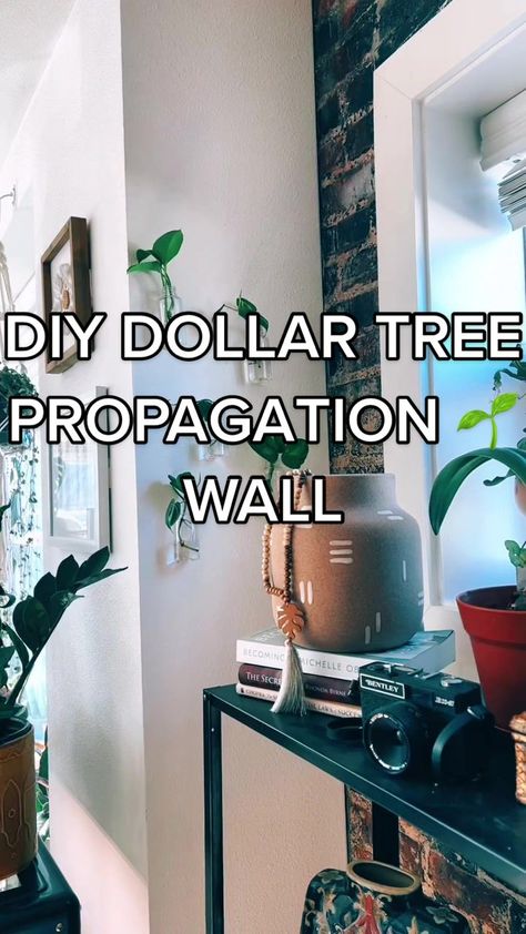 Felt crafty \ #diy #diyproject #planttiktok #planttok #propogation #propagationwall #dollartree #dollartreediy #dollartreediyproject #plants Plant Propagation Wall Decor, Plant Wall Propagation, Wall Plant Propagation, Diy Window Propagation Station, Dollar Tree Propagation Station, Propagating Station Diy, Diy Propagation Station Ideas, Window Propagation Station, Renter Friendly Plant Wall