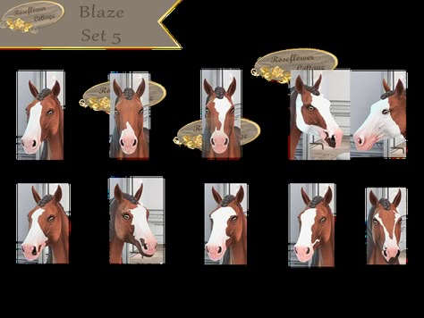 Sims 4 Pets Mod, Sims Pets, Horse Markings, Sims 4 Challenges, Sims 4 Cas Mods, Sims Packs, Free Sims 4, Sims 4 Teen, Sims Four