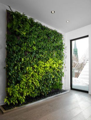 Indoor plant wall Green Wall Garden, Living Wall Indoor, Vertikal Garden, Garden Wall Designs, Indoor Plant Wall, Vertical Garden Indoor, Garage Furniture, Vertical Garden Design, Beautiful Home Gardens