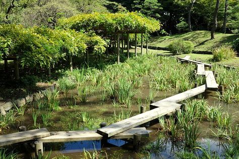 Plank Bridge, Bird Watching Tower, Yellow Kitchen Walls, Board Walk, Wetland Park, Green Architecture, Landscape Architects, Rain Garden, Yellow Walls