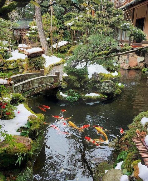 Visit Kinosaki - Best Onsen Town in Japan | The Official Site Most Beautiful Places In Japan, Onsen Aesthetic, Kinosaki Japan, North Japan, Kyoto Onsen, Best Onsen In Japan, Kinosaki Onsen, Japan Onsen, Japan Town