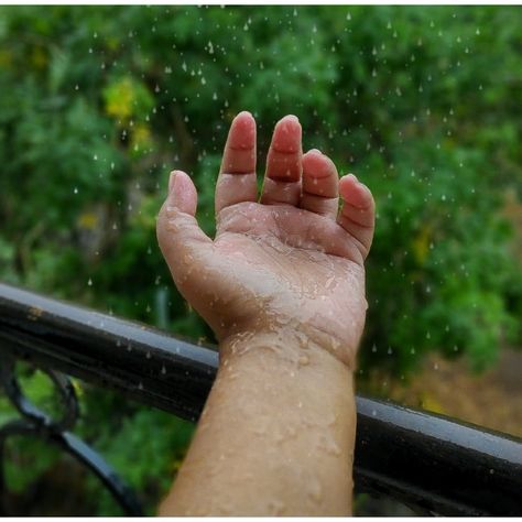 Rain drops falling on hand with a beautiful green backdrop Unbelievable Pictures, Thar Desert, Hand Photography, After The Rain, Rain Photography, Top News, Rain Drops, A Blessing, The Rain