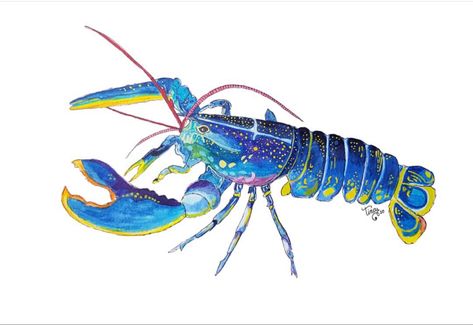 Blue Lobster Painting, Blue Lobster Art, Crustaceans Art, Lobster Drawing, Kids Art Journal, Lobster Painting, Blue Crabs Art, Tupac Art, Lobster Art