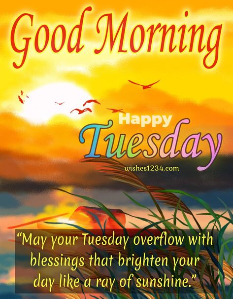 Tuesday Blessed, Happy Blessed Tuesday, Tuesday Blessings Mornings, Good Morning Tuesday Wishes, Tuesday Morning Quotes, Blessed Tuesday, Happy Tuesday Images, Good Morning Bible Verse, Good Morning Tuesday Images