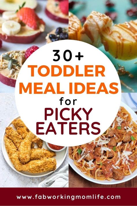 Need quick and easy toddler recipes and toddler meals for picky eaters? This roundup contains healthy toddler meal ideas as well as finger foods for toddlers and 1 year old meal ideas. Meal Ideas For Picky Eaters, Meals For Picky Eaters, Meal Plan For Toddlers, Toddler Picky Eater, Toddler Meal Ideas, Toddler Finger Foods, Picky Toddler Meals, Easy Toddler Meals, Toddler Dinner