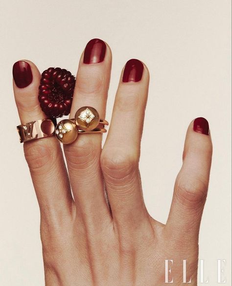 Ring Photoshoot, Jewellery Photography Inspiration, Jewelry Product Shots, Creative Jewelry Photography, Elle Korea, Jewelry Editorial, Fruit Jewelry, Jewelry Photoshoot, Still Photography