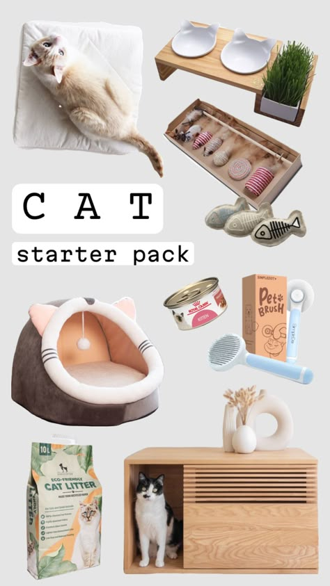 Cat parent starter pack #cat #catlover #cats #pets #petparent #parent #cattoys #toys #litter #bed #catcare #food #litterbox #starterpack #bowls #bowl #brush #tools Human Food For Cats, Paw Cleaner, What Cat, Cat Parenting, Cat Aesthetic, Cat Accessories, Cat Supplies, Cat Bowls, Starter Pack