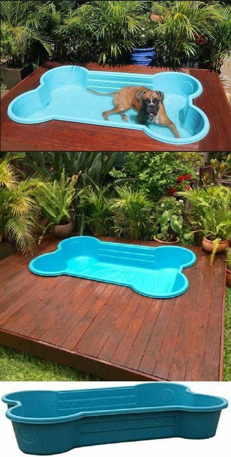 Dog Bone Pool, Diy Dog Pool, Dog Pool Ideas, Dog Friendly Backyard, Dog Backyard, Dog Room Decor, Puppy Room, Puppy Toys, Dog Spaces