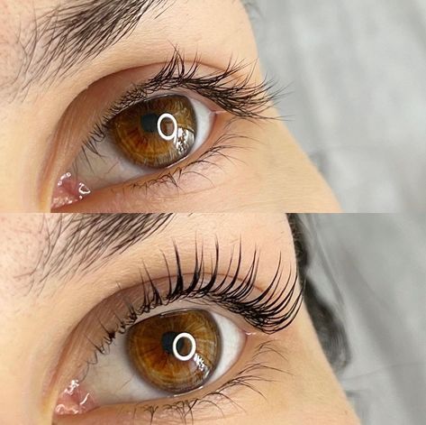 Elevate your lashes with a lift and tint. ✨ Enhance your natural beauty and save time on your morning routine with a lash lift and tint. Our expert estheticians will give your lashes a longer, fuller, and more curled appearance. Book your appointment today and enjoy luscious, lifted lashes. 🏣Prerequisite Beauty 👩‍⚕️Apryle Denise, MBA LE 📍Livonia, MI 🌐www.PrerequisiteBeauty.com 📲(313)912-8702 #PrerequisiteBeauty #LashLift #LashTint #Lashes #Beauty #EyeEnhancement Lash Lift And Tint Before And After, Lash Tint And Lift, Lifted Lashes, Lash Lift And Tint, Lash Tint, Lashes Beauty, Lash Lift, Book Your Appointment, Esthetician