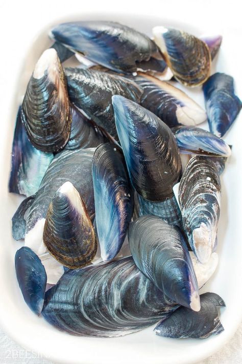 Mussel Shell Art Projects, Beach Combing Crafts, Muscle Shell Crafts, Painting On Oyster Shells, Muscle Shell Art, How To Clean Seashells, Clean Seashells, How To Clean Mussels, Sea Objects