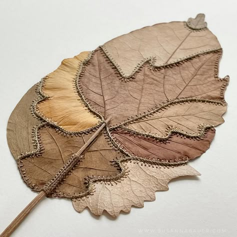 The evolution of Susanna Bauer’s stunning work continues with this recent piece which mixes magnolia, plane tree, poplar, eucalyptus, ginkgo, and oak leaves. Susanna regularly posts her beautiful work on Facebook. She has a web site too. Her next show will be in Switzerland in 2022 with Le Salon Vert. Leaf Art Diy, Dry Leaf Art, Plane Tree, Embroidered Leaves, Leaf Crafts, Stitch Book, Oak Leaves, Painted Leaves, Leaf Nature