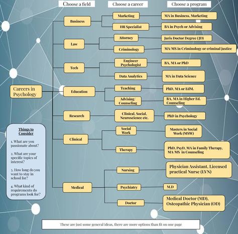 Career Paths | UC Psych Psychologist Career Path, Psychology Jobs Career, Career Paths Ideas, Psychology Career Paths, Careers In Psychology, Career Psychology, Psych Notes, Psychology Career, Gre Study