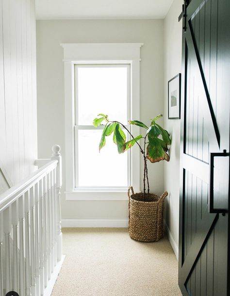 30 Modern Window Trim Ideas To Transform Your Home Double Window Trim, Trim Around Windows Interior Modern, Farmhouse Window Trim Ideas, Window No Trim, Modern Farmhouse Window Trim Interior, Updated Window Trim, Simple Interior Window Trim, Interior Window Trim Ideas, Minimalist Window Trim